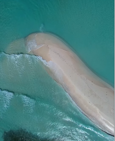 Isla La Tortuga